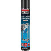Glass & Mirror Foam Cleaner Aerosol 750ml