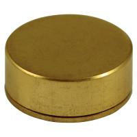 Timco Threaded Screw Casp Polished Brass